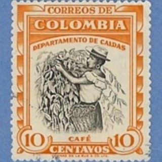 Colombian Coffee